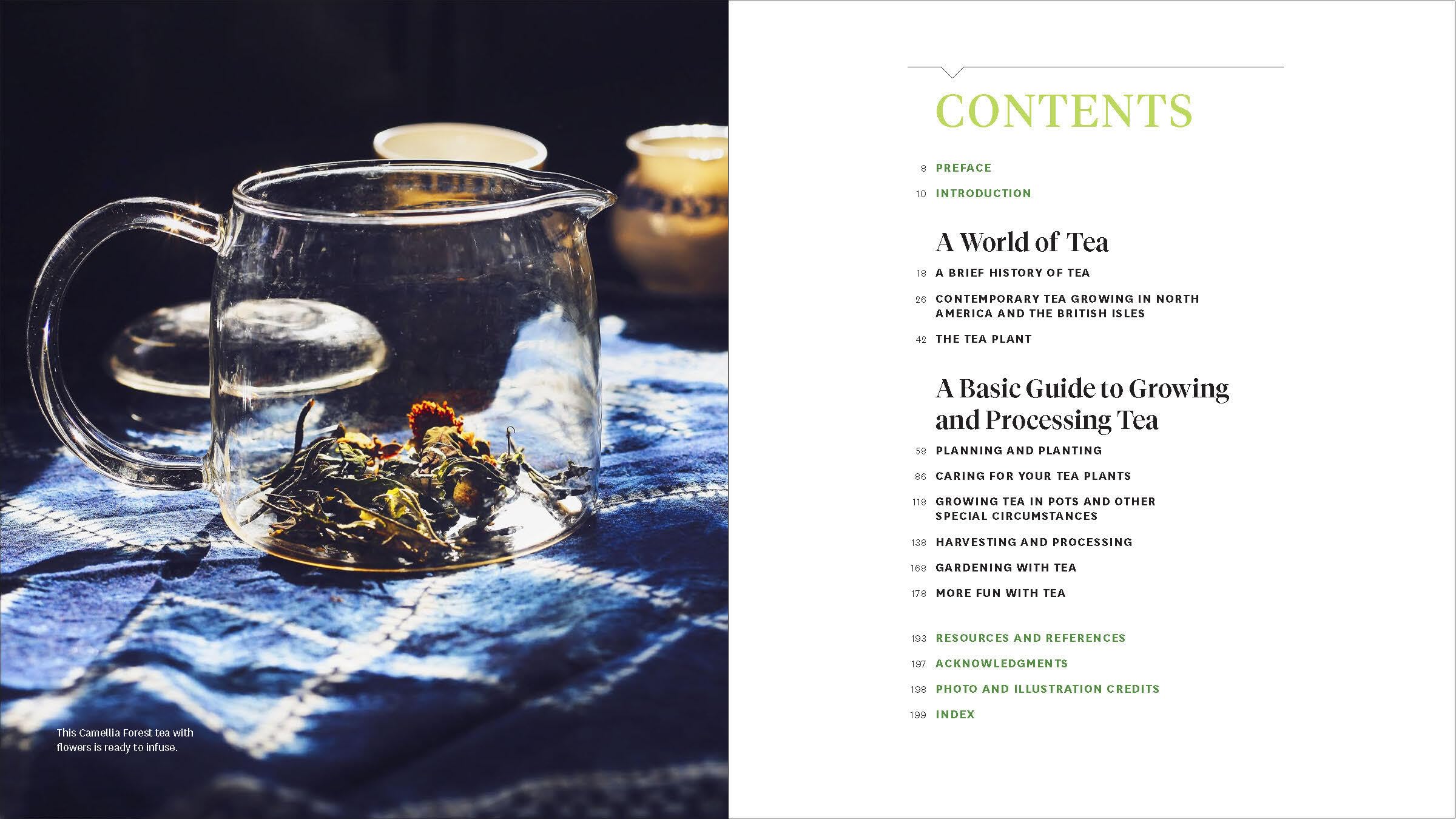 Grow Your Own Tea: The Complete Guide to Cultivating, Harvesting, and Preparing