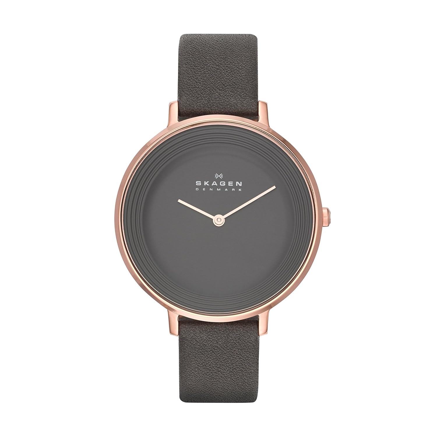 Skagen Women's Watch SKW2216 Amazon.co.uk Watches