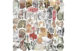 UAITODEE Vintage Anatomy Stickers,Human Skeleton Stickers,Water Bottle Scrapbooking Journal Ephemera,Anatomy Aesthetic Stickers(50 Pack)