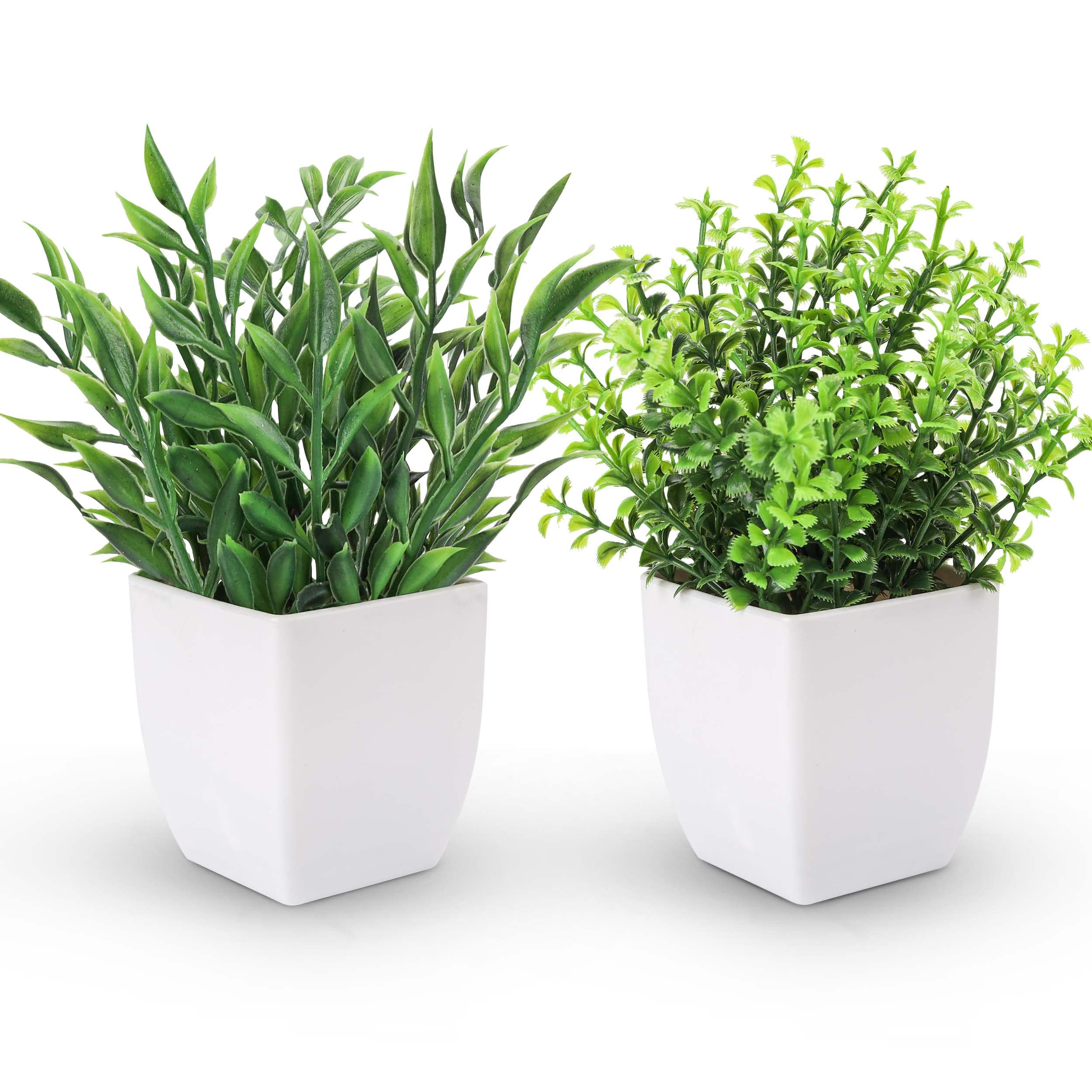 Photo 1 of Der Rose 2 Pack Fake Plants Mini Artificial Greenery Potted Plants for Home Decor Indoor Office Table Room Farmhouse