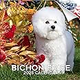 2024 2025 Bichon Frise Calendar - Dog Breed Monthly Wall Calendar - 12 x 24 Open - Thick No-Bleed Paper - Giftable - Academic Teacher's Planner Calendar Organizing & Planning - Made in USA
