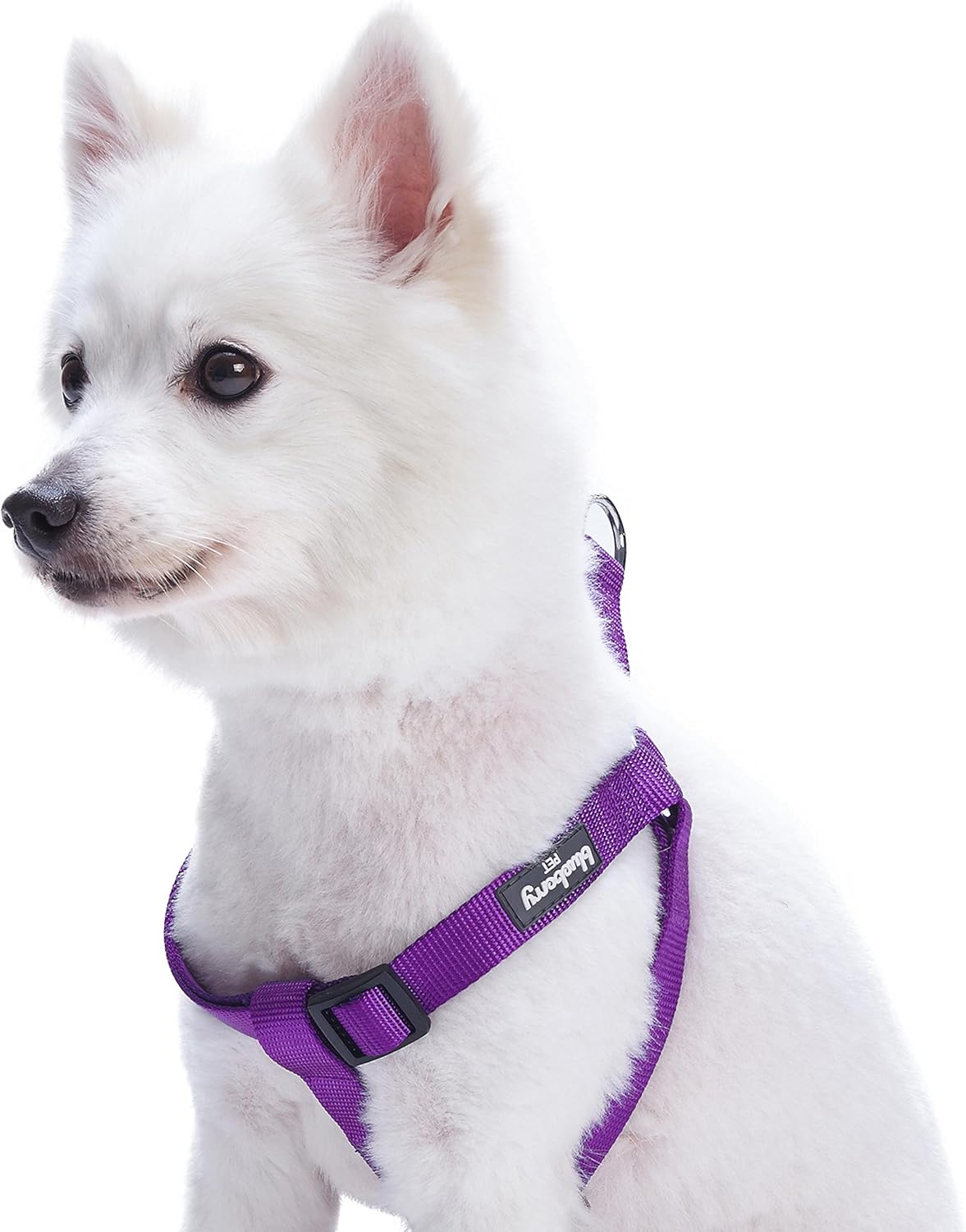 Blueberry Pet Stepin Classic Dog Harness, Chest Girth 42cm54cm, Dark