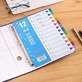 ROSSHINE 10 Pack 1-12 Part A4 File Dividers 11-Hole PVC Multi-Colour Content view 4