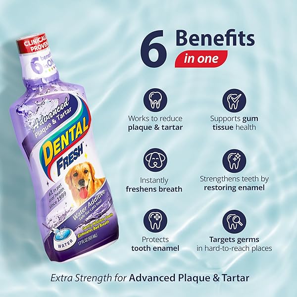DENTAL FRESH ADVANCED PLAQUE AND TARTAR WATER ADDITIVE, 17OZ – DOG TEETH CLEANING FORMULA TO FRESHEN BREATH AND IMPROVE CAT & DOG DENTAL CARE