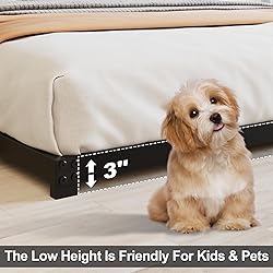 Fly-CTsoar 3 Inch Low King Bed Frame Heavy Duty
