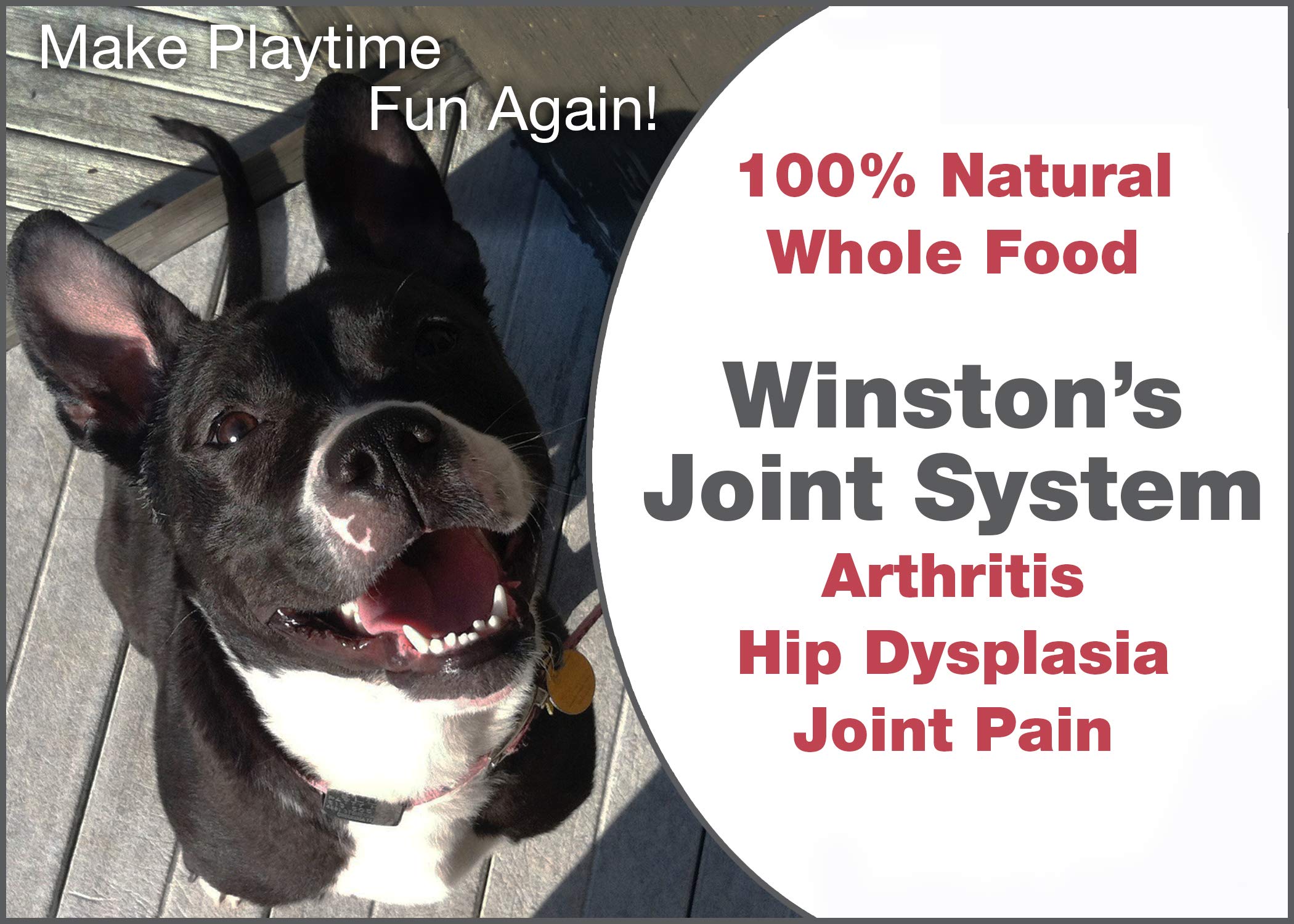Curated visual reference: Visual Reference: Mua Winston Joint System For Medium Dogs From 40 99