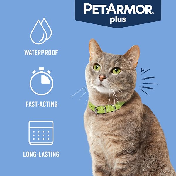 PETARMOR PLUS FLEA AND TICK PREVENTION FOR CATS, CAT FLEA AND TICK TREATMENT, 6 DOSES, WATERPROOF TOPICAL, FAST ACTING, CATS OVER 1.5 LBS