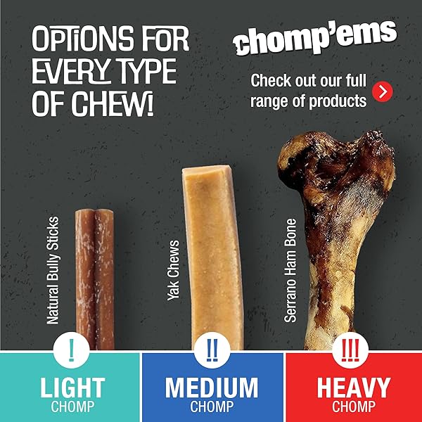 CHOMP’EMS PREMIUM BEEFHIDE CHEW FOR DOGS, 1 CHEW