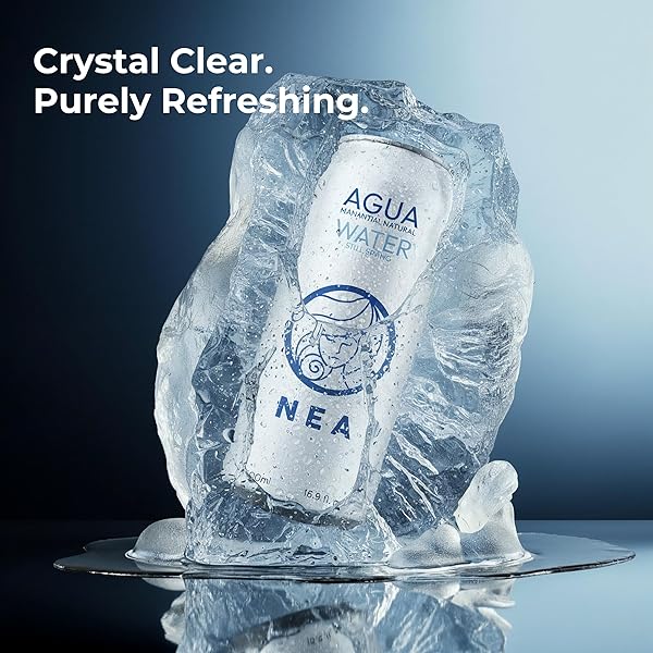 NEA CANNED WATER – AUSTRIAN ALPS SPRING MINERAL CAN WATER IN ALUMINUM CANS – PLASTIC FREE BPA FREE 16.9OZ (1 CASE – PACK OF 12)