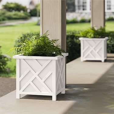 Amazon.com New Releases: The best-selling new & future releases in Planters
