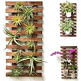 ShopLaLa Wall Planter - Wooden Hanging Planter for Indoor Plants, Plant Stand, Air Plant Succulent Holder, Vertical Garden. L