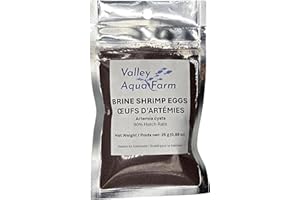 Brine Shrimp Eggs (Artemia Cysts) – 90% Hatch Rate - Aquatic Food & Fry Food for Freshwater and Saltwater Fish (25g)