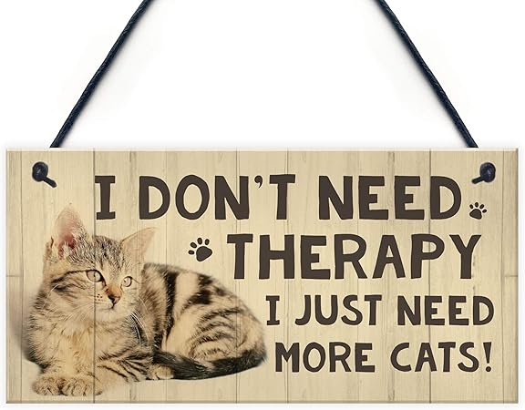 amazon uk gifts for cat lovers