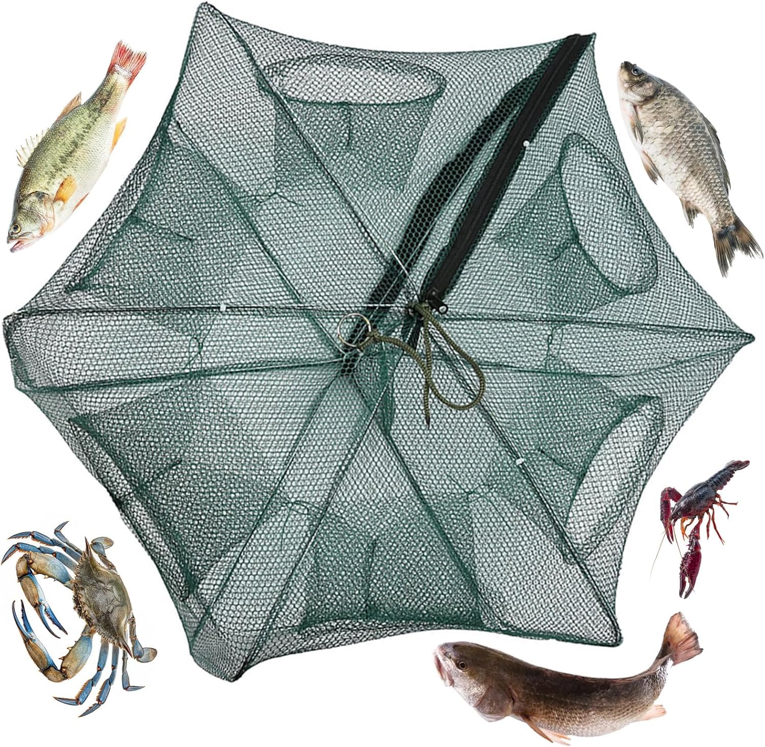 Hominas Automatic Fishing Net 6 Holes Nylon Foldable Crab Fish Trap Cast Easy Use Portable Automatic Shrimp Cage for Minnow/Crawfish/Crab/Lobster/Fishes