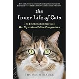 The Inner Life of Cats