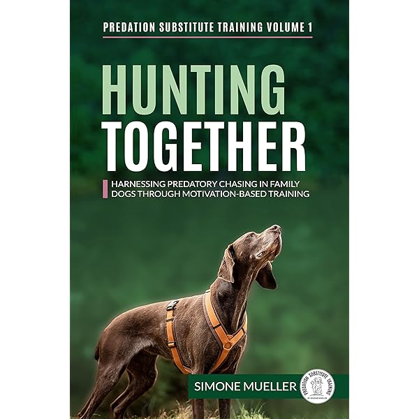 How to Stop Dogs from Chasing Squirrels in the Yard Using Predation Substitute Games: Effective Training Tips