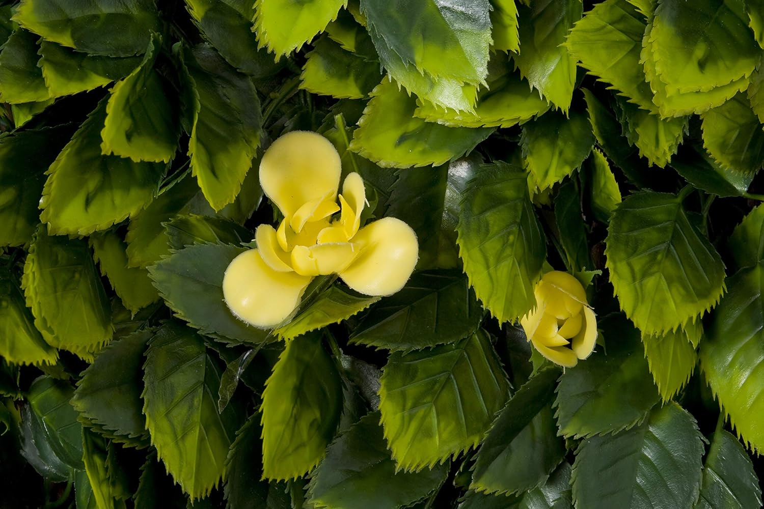 GreenBrokers Trellis Artificial Expanding Willow Fence with Green Leaf Foliage and Yellow Flowers (1m x 2m) -UV Stable, A1261-01 - Image 4