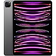 2022 Apple iPad Pro (11-inch, Wi-Fi, 1TB) - Space Gray (Renewed)