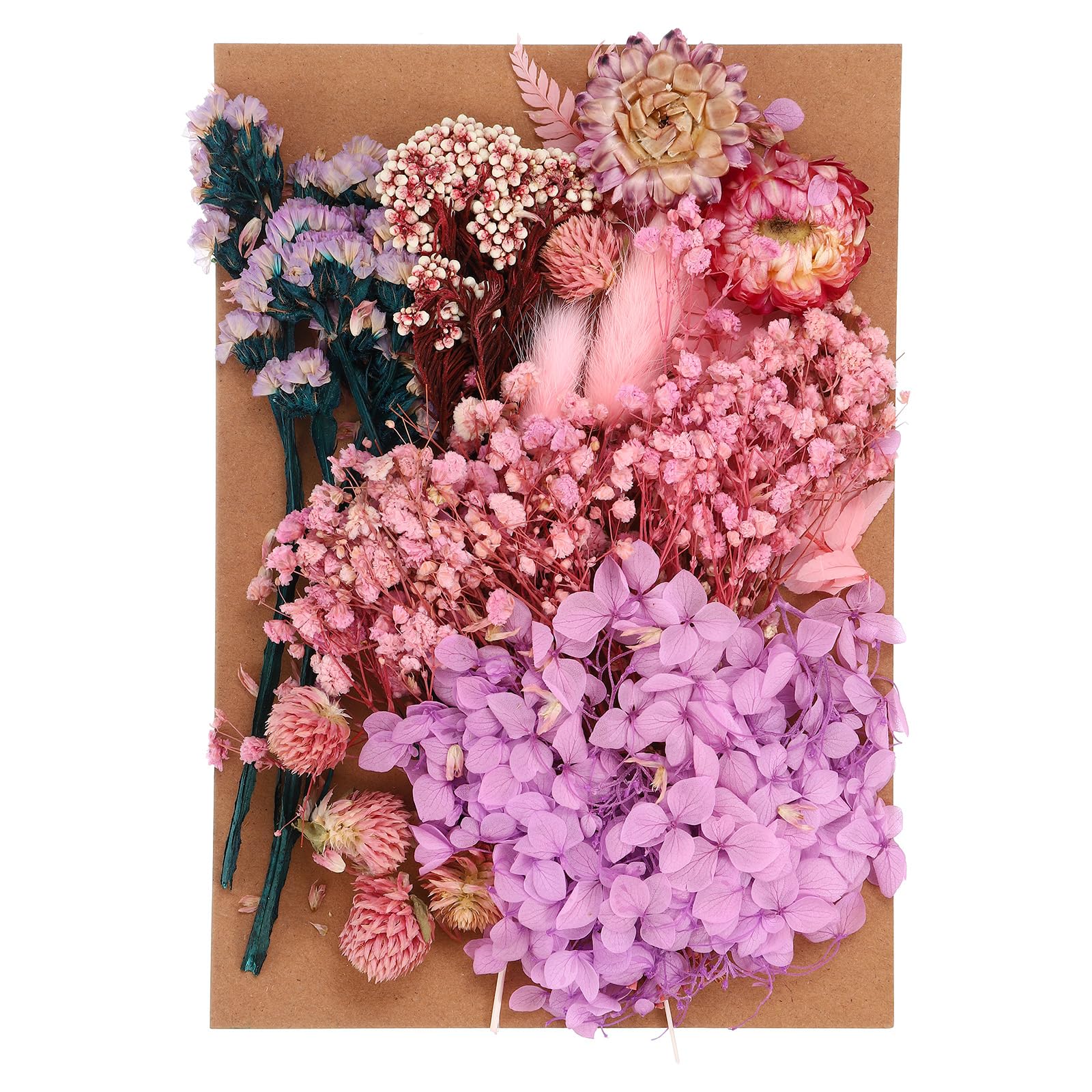 PATIKIL Pressed Flowers for Craft, Bulk Dried Flowers Natural Pressed Flowers Leaves for Resin Soap Candle Scrapbooking DIY Gift Papermaking, Purple Style