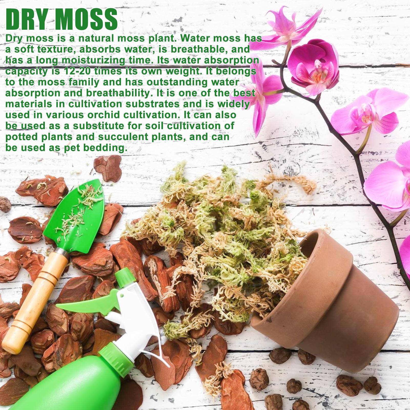 500g Sphagnum Moos, Orchideen Terrarium Blumenerde, Reptile Natürliches Sphagnum Deko, Zimmerpflanzen Feuchtigkeitsspendende Ernährung Organisches Torfmoos für Orchideen und Bonsai Reptilie (1) 5