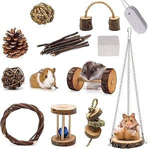 Hamiledyi 12pcs Hamster Chew Toys,Apple Wood Sticks Rat Dumbells Exercise Bell Roller Teeth Care Molar Swing Toy Small Pet Accessories for Guinea Pigs, Rabbits, Chinchillas, Bunny