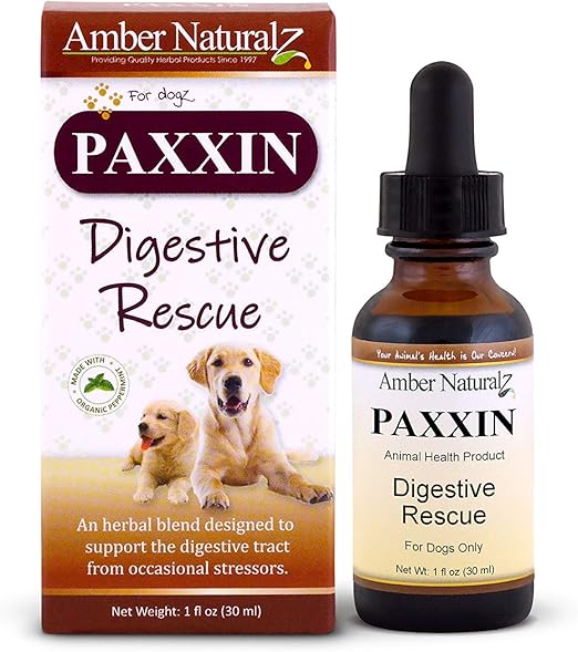 siamese cattery near me