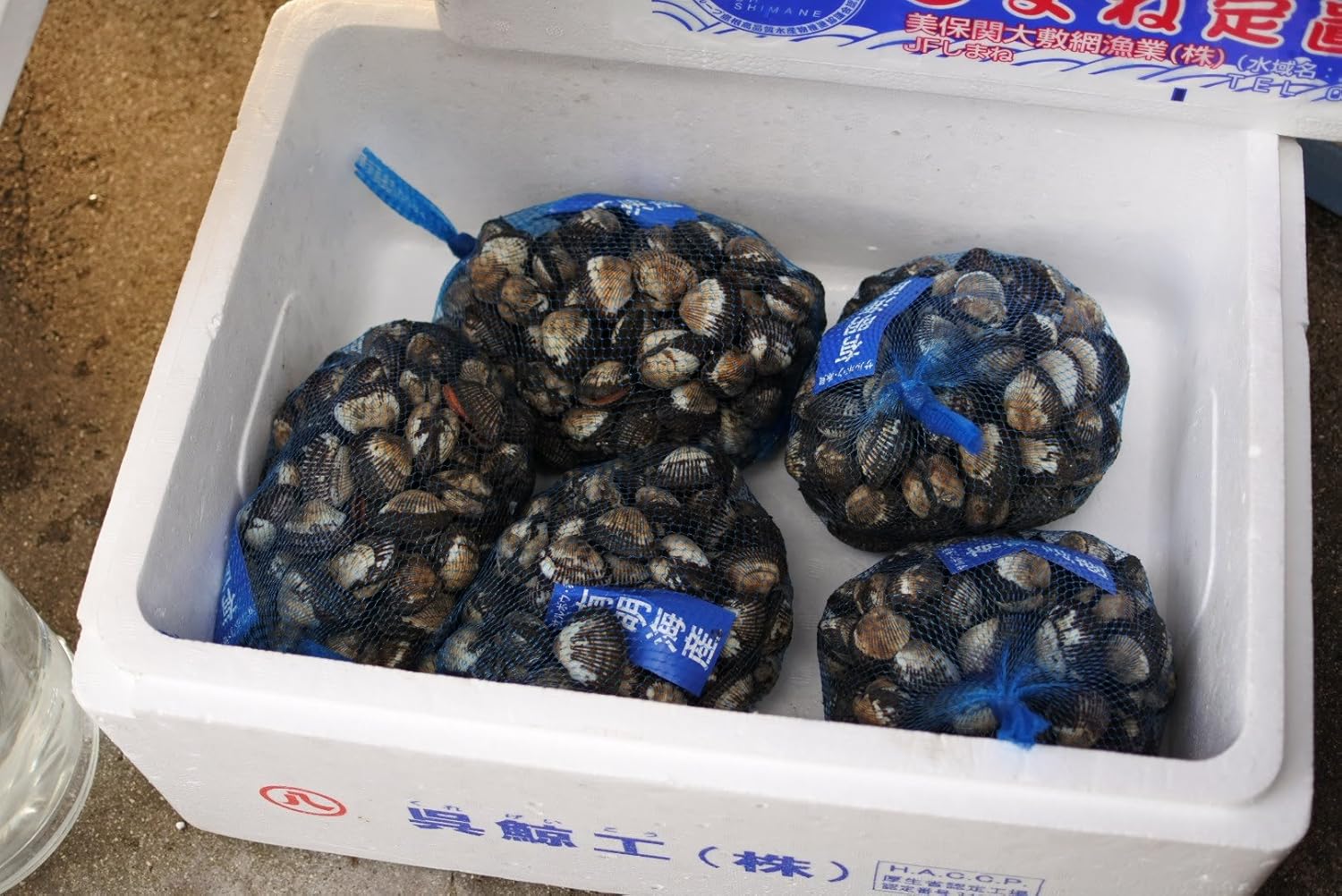 Amazon 有明産 赤貝 サルボウ貝 ５kg かやの鮮魚店 貝類 通販