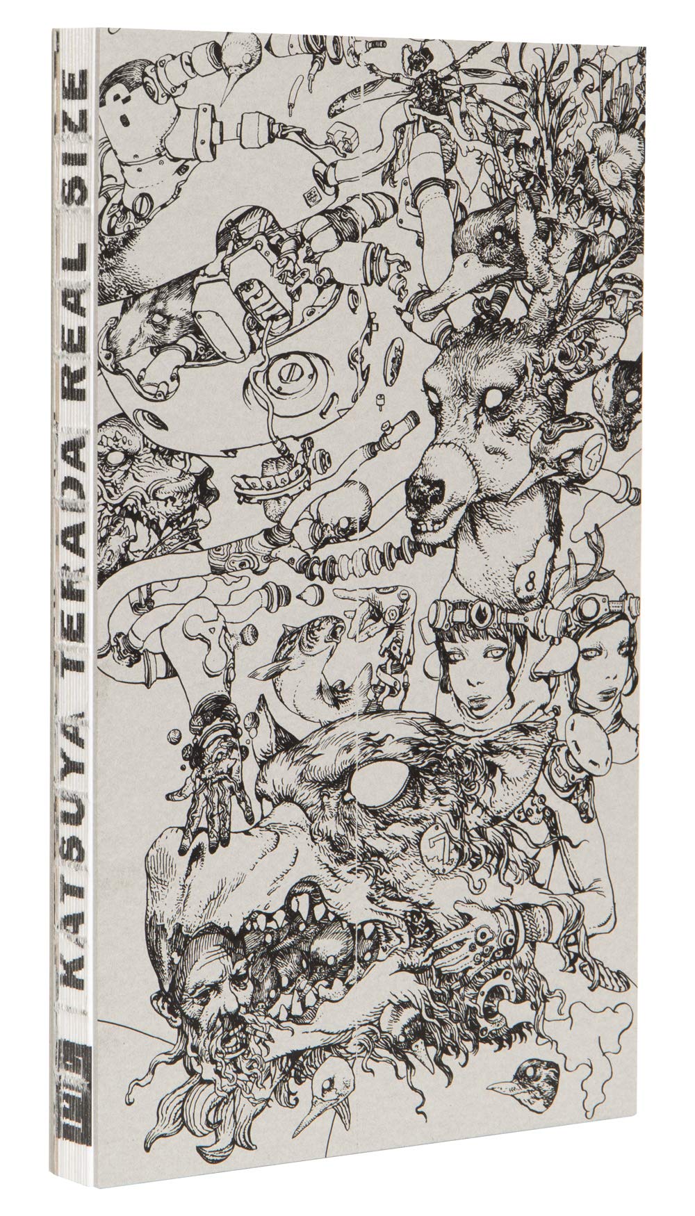 KATSUYA TERADA REAL SIZE