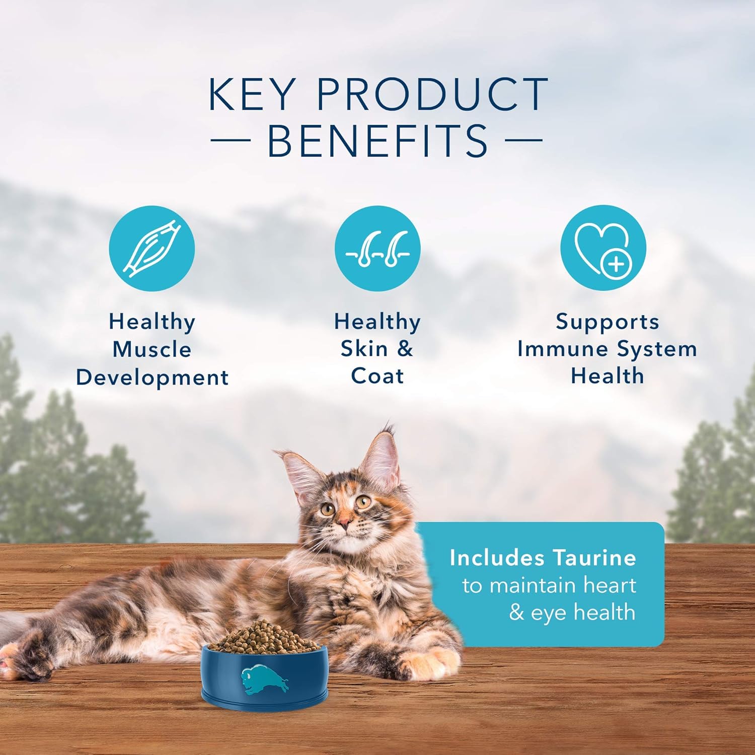 Blue Buffalo Wilderness High Protein, Natural Adult Dry Cat Food, Chicken 12-lb : Dry Pet Food : Pet Supplies