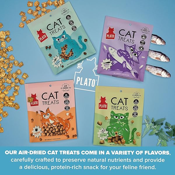 PLATO PET TREATS CAT TREATS – SINGLE INGREDIENT, HEALTHY SALMON TREATS FOR INDOOR CATS – 2.5 OZ