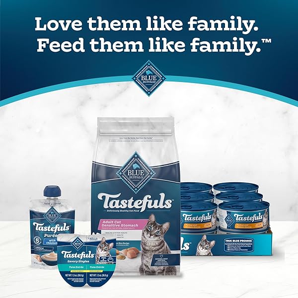 BLUE BUFFALO TASTEFULS NATURAL DRY FOOD FOR ADULT CATS, SENSITIVE STOMACH, CHICKEN & BROWN RICE RECIPE, 3-LB. BAG