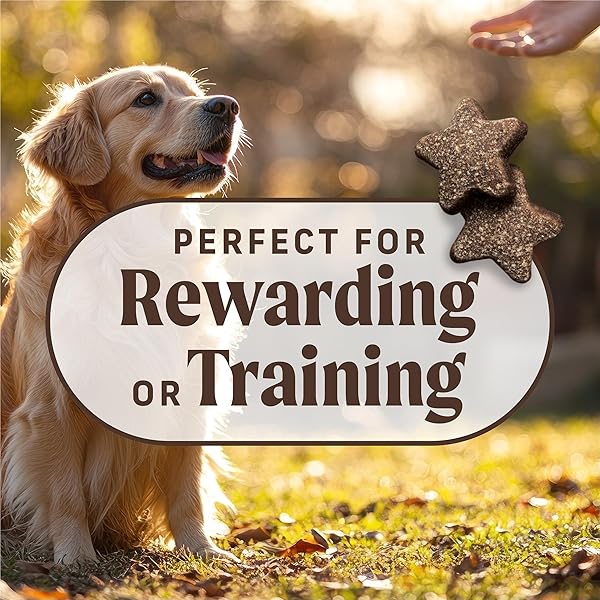 MERRICK POWER BITES NATURAL SOFT AND CHEWY REAL MEAT DOG TREATS, GRAIN FREE SNACK, REAL TURDUCKEN RECIPE – 6 OZ. BAG