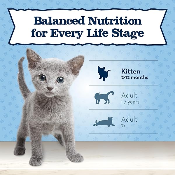 BLUE BUFFALO BABY BLUE NATURAL KITTEN WET CAT FOOD, HEALTHY GROWTH FORMULA WITH DHA, CHICKEN RECIPE MULTI-PACK, 3-OZ. CANS (6 COUNT)