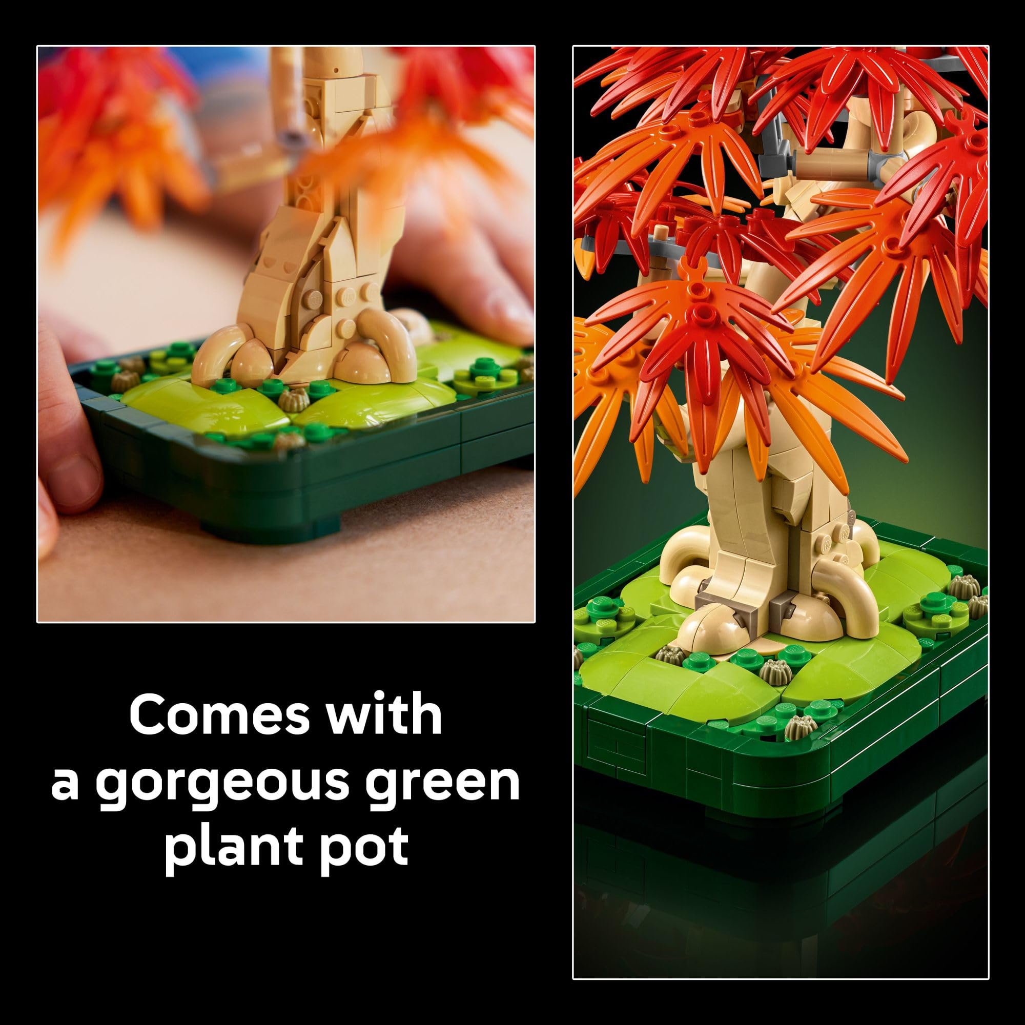 LEGO Botanicals Kit de construcción de árbol bonsái de arce rojo japonés para adultos mayores de 18 años - Decoración única para el hogar DIY para habitación u oficina - Idea de regalo de inauguración para un nuevo hogar - Decoración de plantas para escritorio o estantería - 10348