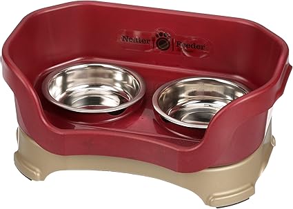 Amazon Com Neater Feeder Deluxe For Cats Cranberry Pet Supplies
