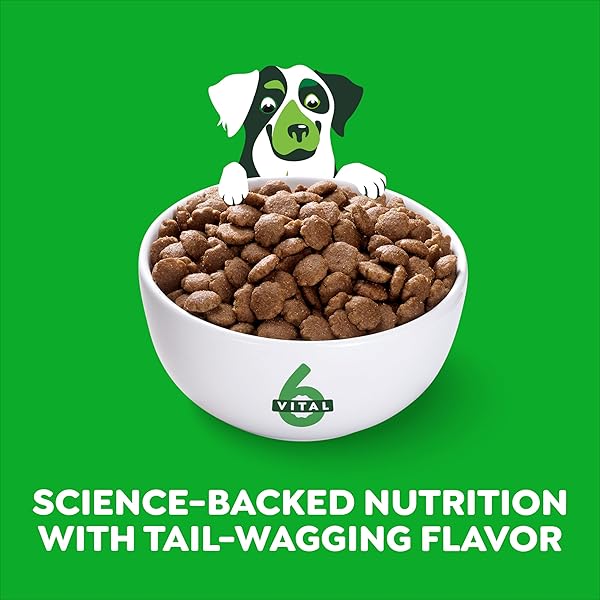 GREENIES SMART ESSENTIALS SENSITIVE DIGESTION & SKIN ADULT DRY DOG FOOD REAL LAMB & BROWN RICE RECIPE, 6 LB. BAG