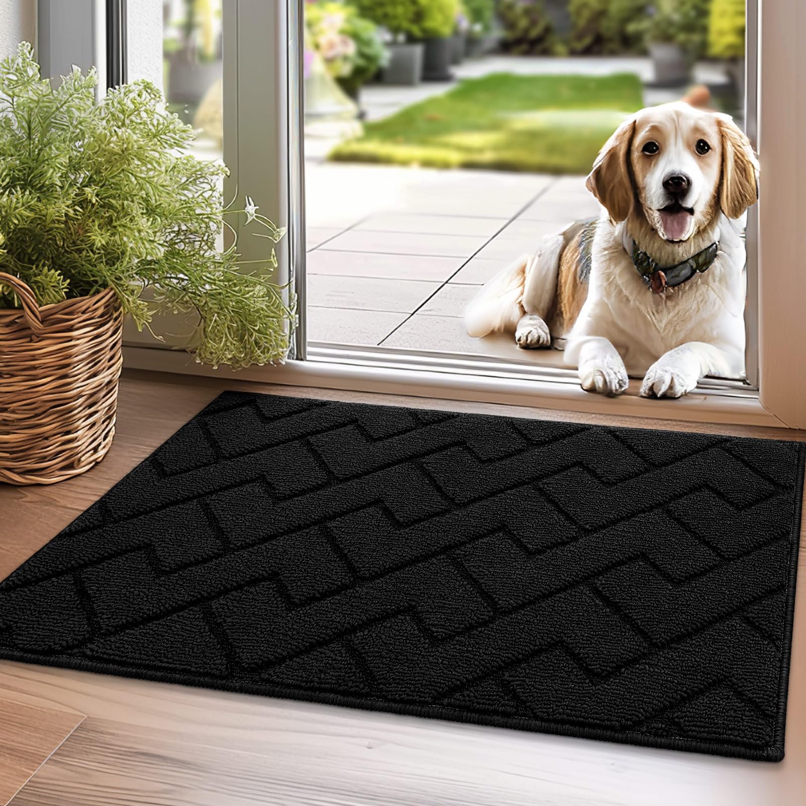 Biscpro Door Mat 50x80cm,DoorMat Indoor Washable,Doormat Indoor Dirt Trapper Non-slip,Absorbent Inside Entrance Rug Mat for Entryway,Patio,Garden,Laundry Room,Pets-Black — image 1