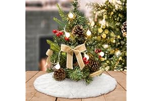 DegGod Plush Christmas Tree Skirts, 24 inches Luxury Snowy White Faux Fur Small Xmas Tree Base Cover Mat with Silver Snowflakes for Xmas New Year Home Party Decorations
