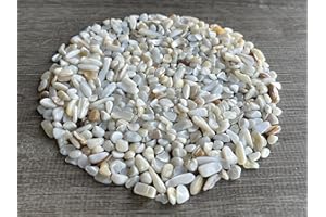 GAF TREASURES 2 oz Lot Natural Semi Tumbled Gemstone Chips, Crushed Mini Crystals, Undrilled Crystal Chips (Mother of Pearl)