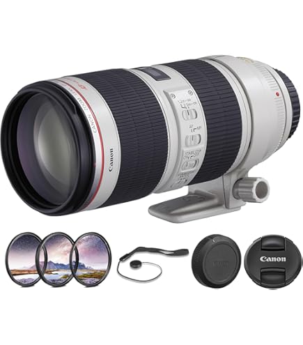 Amazon.com : Canon EF 70-200mm f/2.8L is II USM Telephoto Zoom