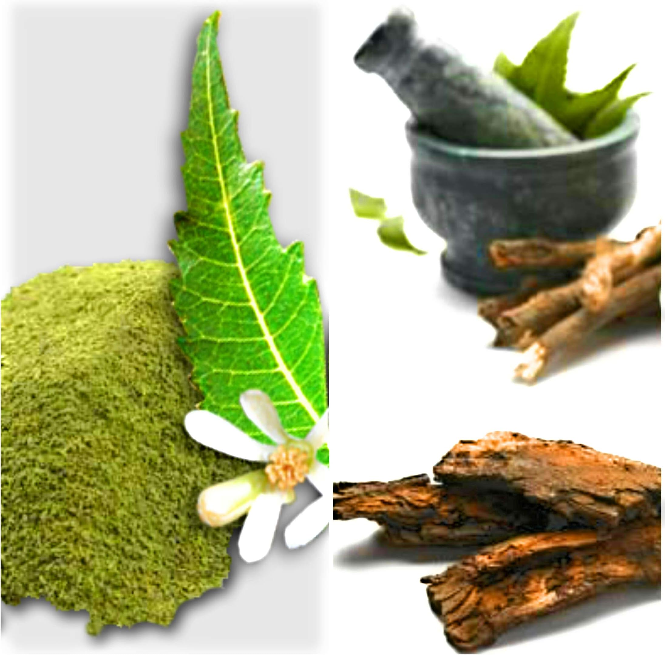 Organic sun-dried Neem Leaves and Flowers powder