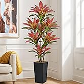 Roselywed Artificial Red Dracaena Tree 6FT with 114 Leaves & 7 Heads & Black Tall Planter Cover with Coconut Fiber Tall Faux Tropical Silk Bicolor Plant 72 Inch for Indoor Home Office Porch Mall Decor