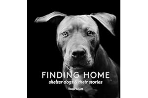 Finding Home: Shelter Dogs and Their Stories
