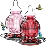2 Pack Glass Hummingbird Feeder for Outdoors