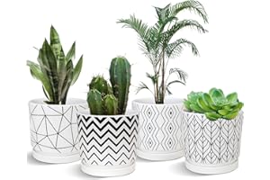 Ton Sin Plant Pots,5.5 Inch White Pots for Indoor Plants with Drainage Holes,Cylinder Flower Pot Ceramic Planters with Saucer,Cactus Succulent Outdoor Garden Pots Set of 4