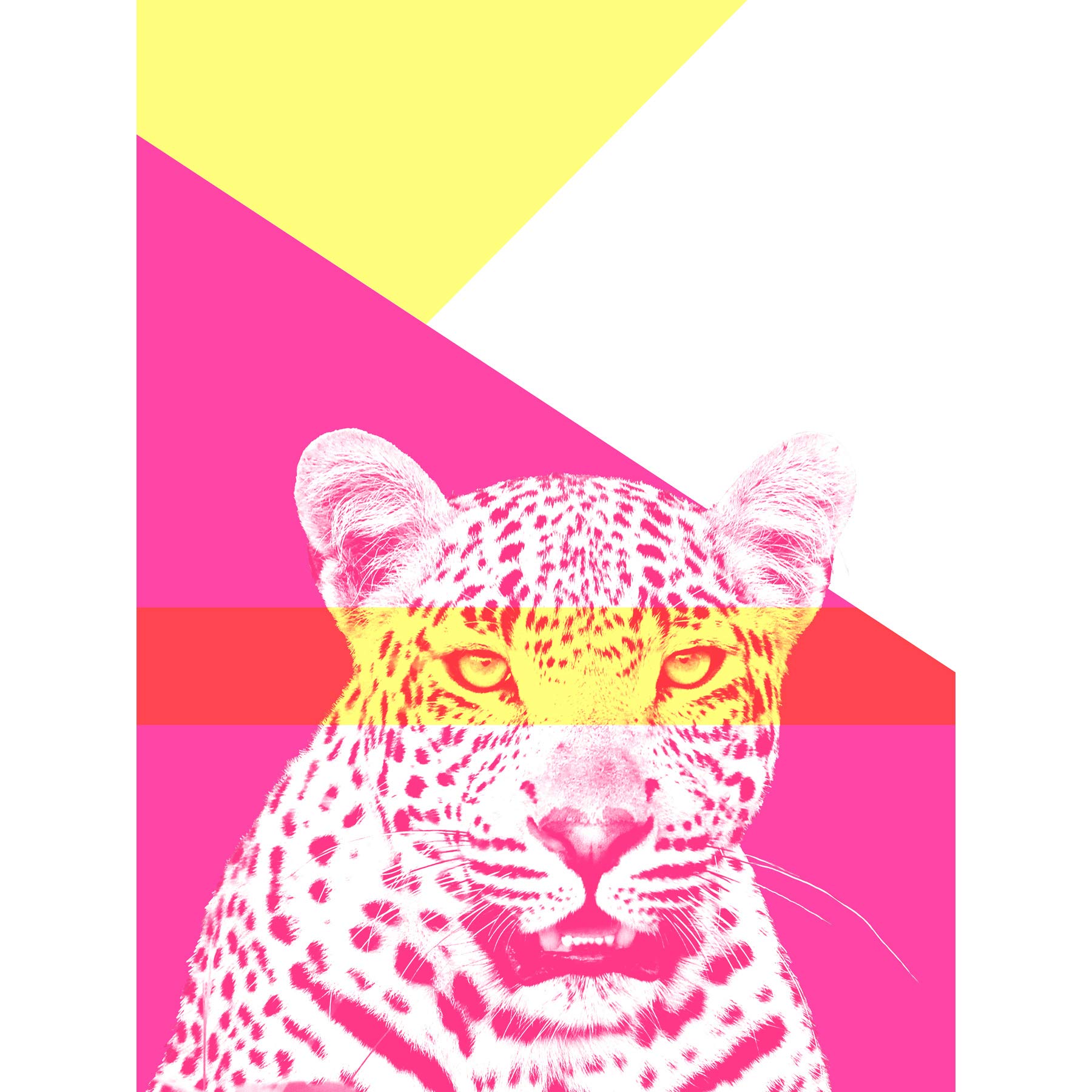 Wee Blue Coo Bold Animals Pink Leopard Large Wall Art Print Canvas Premium Poster