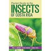 Pocket Guide to the Insects of Costa Rica (Zona Tropical Publications / Antlion Media)