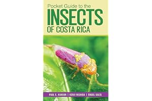 Pocket Guide to the Insects of Costa Rica