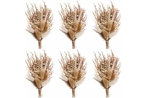 BONSION Natural Dried Flower Bouquet Set of 6, Boho Wedding Flower Bouquets, Bridesmaid Bouquet Proposal Box, Pampas Grass Bouquet, Boho Table Decor, Table Centerpieces (White+Brown-01)