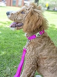 Country Brook Petz - Deluxe Nylon Dog Leash with